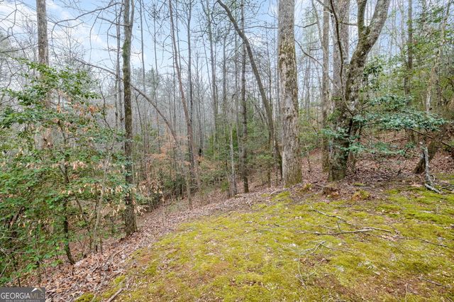 89 Ts Jarrard Road, Dahlonega, GA 30533