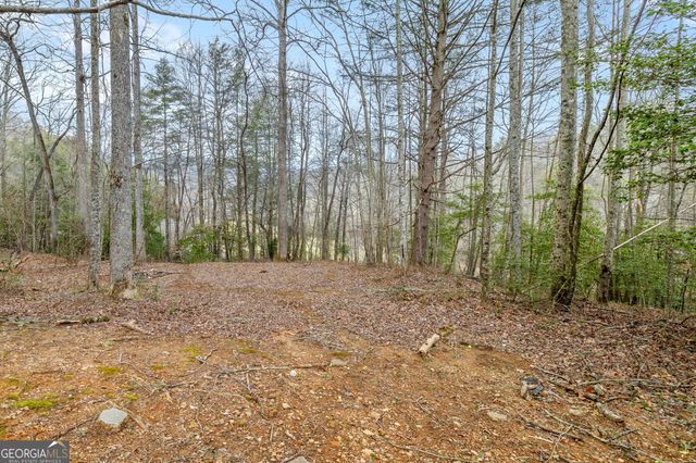 89 Ts Jarrard Road, Dahlonega, GA 30533