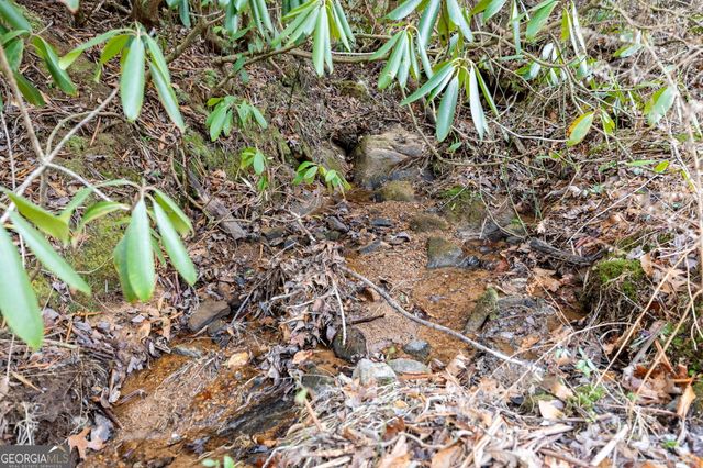 89 Ts Jarrard Road, Dahlonega, GA 30533