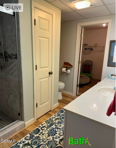 1704 Hidden Hills Road, Gatlinburg, TN 37738