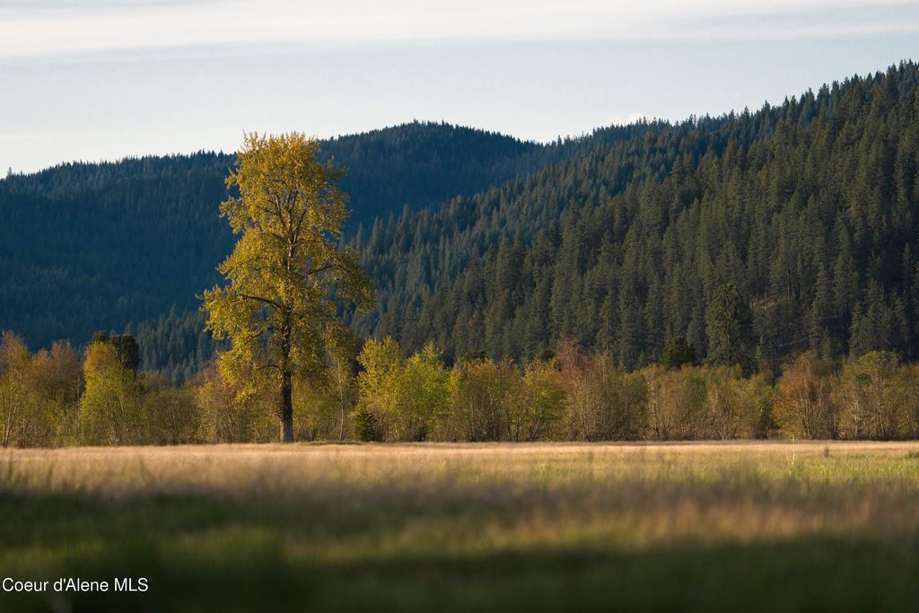 26175 State Hwy 3, Cataldo, ID 83810 photo 17