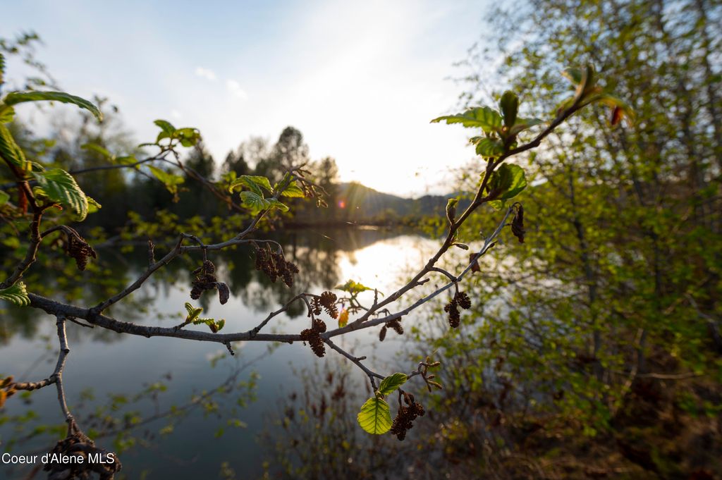 26175 State Hwy 3, Cataldo, ID 83810 photo 18