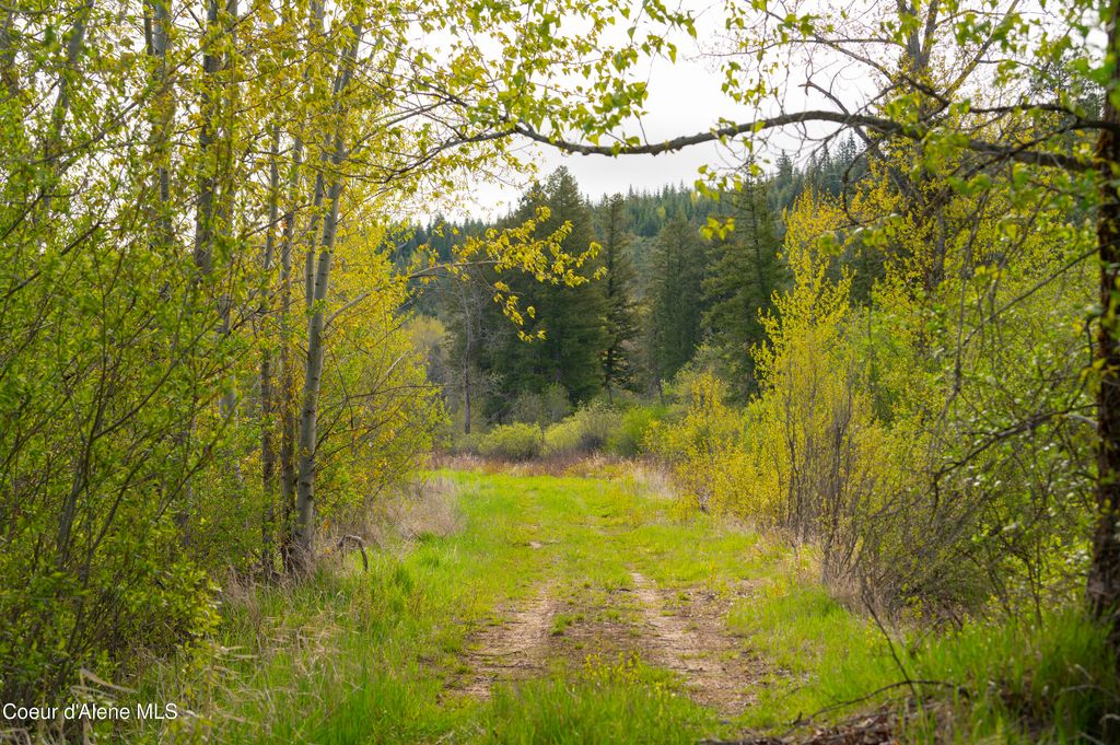 26175 State Hwy 3, Cataldo, ID 83810 photo 19