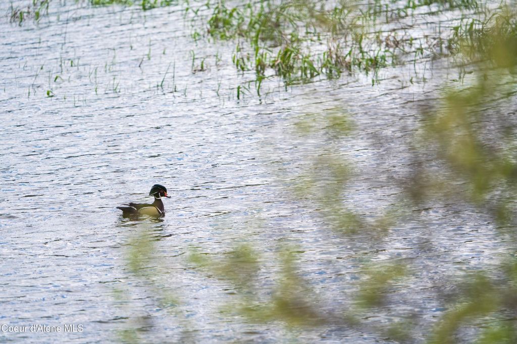 26175 State Hwy 3, Cataldo, ID 83810 photo 22