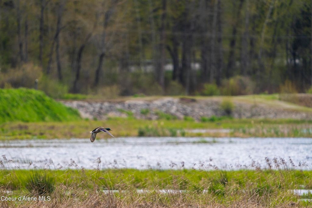 26175 State Hwy 3, Cataldo, ID 83810 photo 23