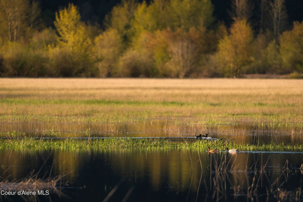 26175 State Hwy 3, Cataldo, ID 83810 photo 24