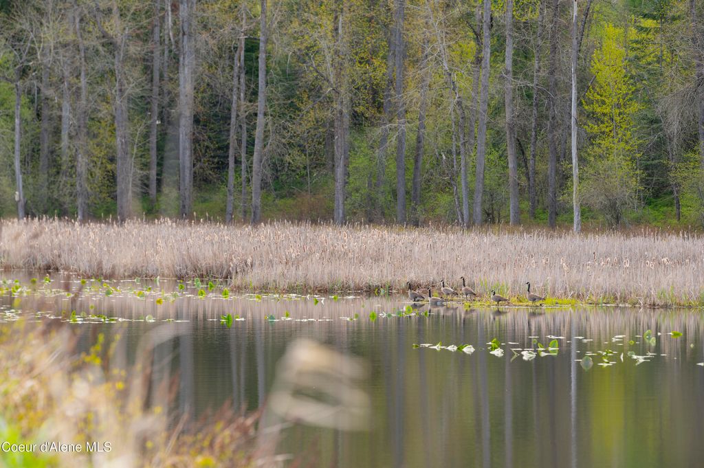 26175 State Hwy 3, Cataldo, ID 83810 photo 25