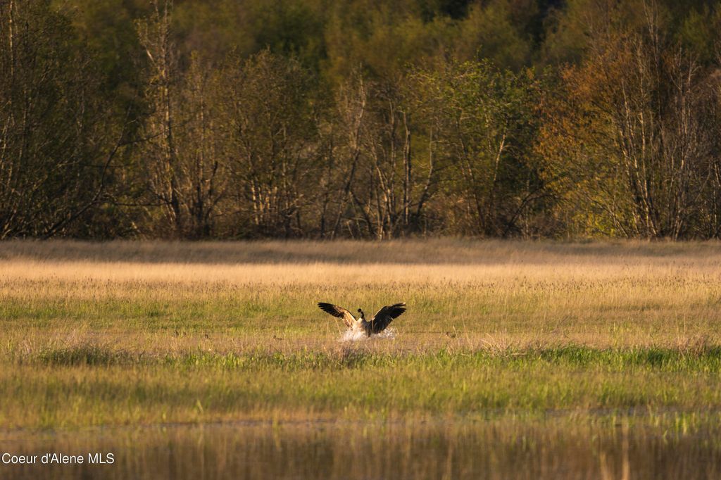 26175 State Hwy 3, Cataldo, ID 83810 photo 27