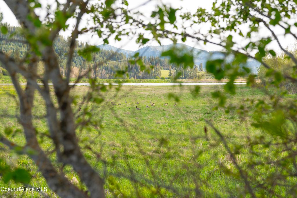 26175 State Hwy 3, Cataldo, ID 83810 photo 31