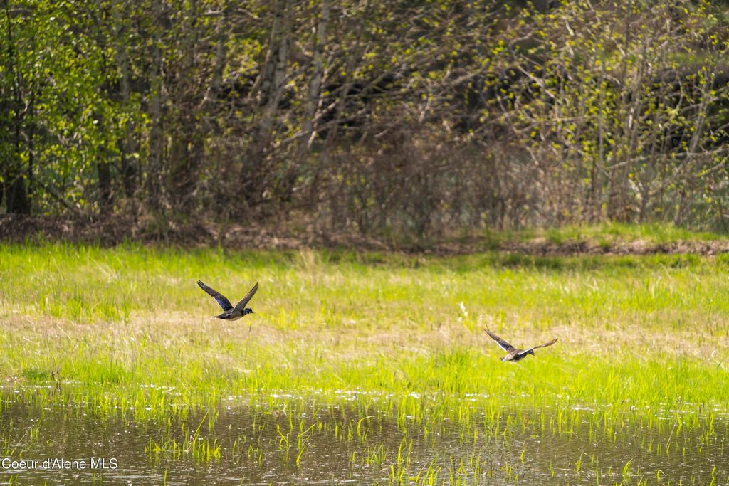 26175 State Hwy 3, Cataldo, ID 83810 photo 32