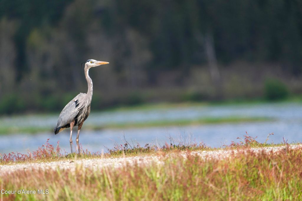 26175 State Hwy 3, Cataldo, ID 83810 photo 34