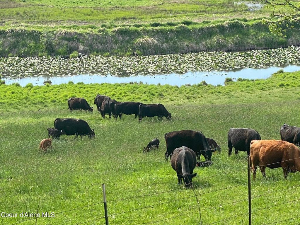 26175 State Hwy 3, Cataldo, ID 83810 photo 38