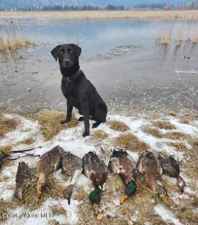 26175 State Hwy 3, Cataldo, ID 83810 photo 73