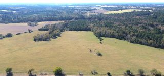 485 PR 6142, Grapeland, TX 75844