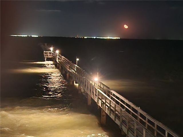 4334 Ocean Dr 203, Corpus Christi, TX 78412