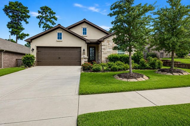 111 E Silky Sephora Court, Montgomery, TX 77316