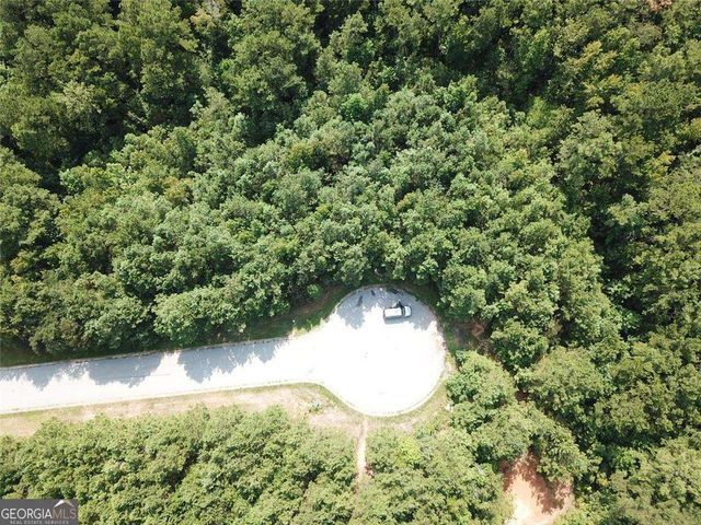 7699 Cheviot Drive, Winston, GA 30187