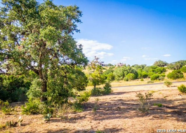 523 Rio Ridge Pkwy, Spring Branch, TX 78070