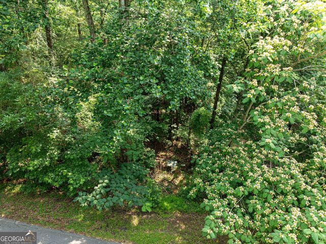 LOT 078 Cardinal Drive, Monticello, GA 31064