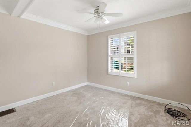 728 Marshall Avenue, St Louis, MO 63119