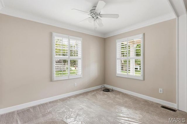 728 Marshall Avenue, St Louis, MO 63119