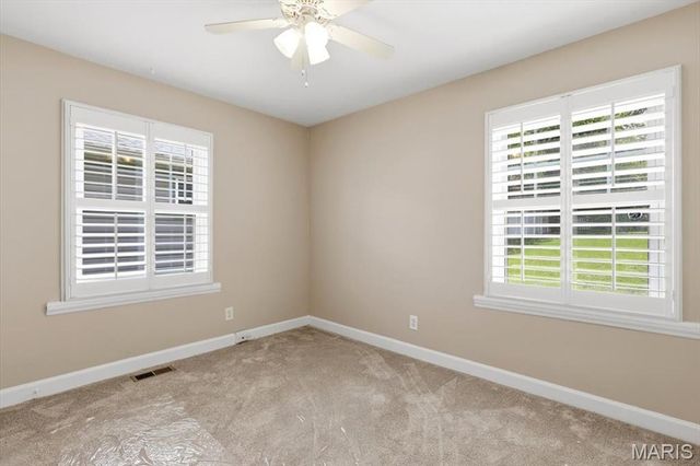 728 Marshall Avenue, St Louis, MO 63119