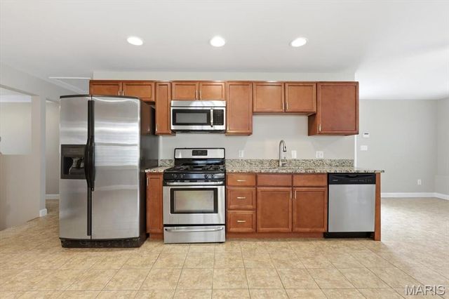 728 Marshall Avenue, St Louis, MO 63119