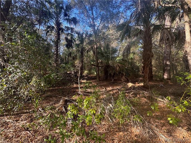 8627 W Rue Des Prairies Place, Crystal River, FL 34428