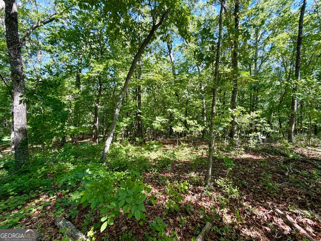 0 Leola Road, Douglasville, GA 30135