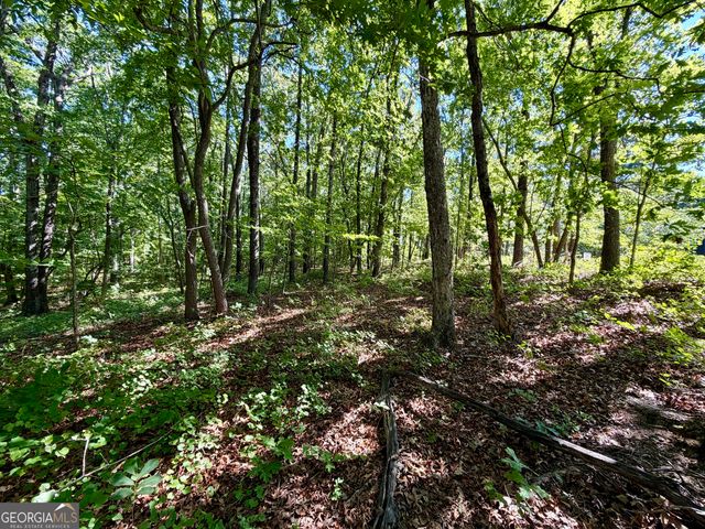 0 Leola Road, Douglasville, GA 30135