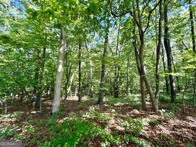 0 Leola Road, Douglasville, GA 30135