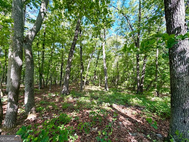 0 Leola Road, Douglasville, GA 30135