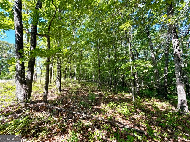 0 Leola Road, Douglasville, GA 30135