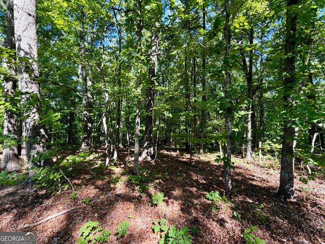 0 Leola Road, Douglasville, GA 30135