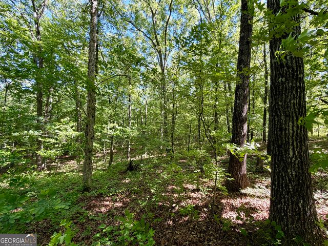 0 Leola Road, Douglasville, GA 30135