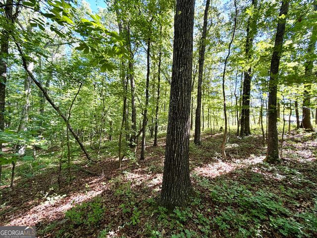 0 Leola Road, Douglasville, GA 30135