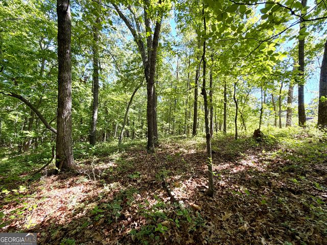 0 Leola Road, Douglasville, GA 30135