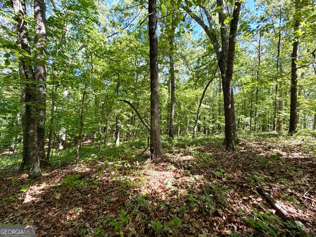 0 Leola Road, Douglasville, GA 30135