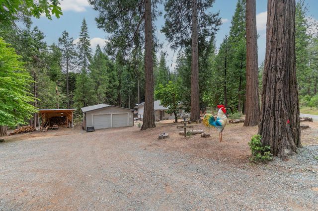 26742 High Trees Dr, Pioneer, CA 95666