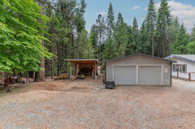 26742 High Trees Dr, Pioneer, CA 95666