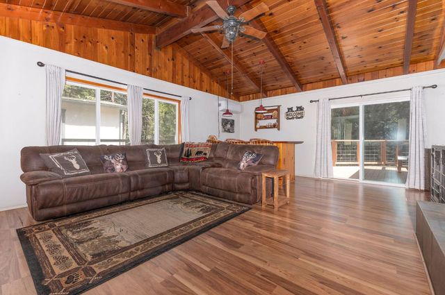 26742 High Trees Dr, Pioneer, CA 95666
