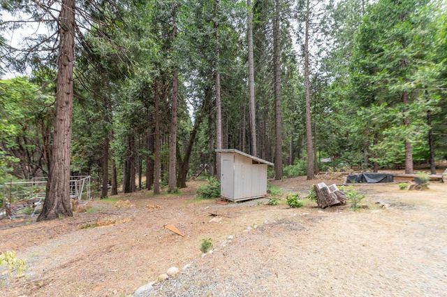 26742 High Trees Dr, Pioneer, CA 95666