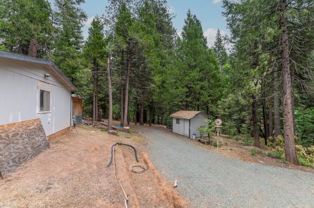 26742 High Trees Dr, Pioneer, CA 95666