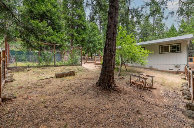 26742 High Trees Dr, Pioneer, CA 95666