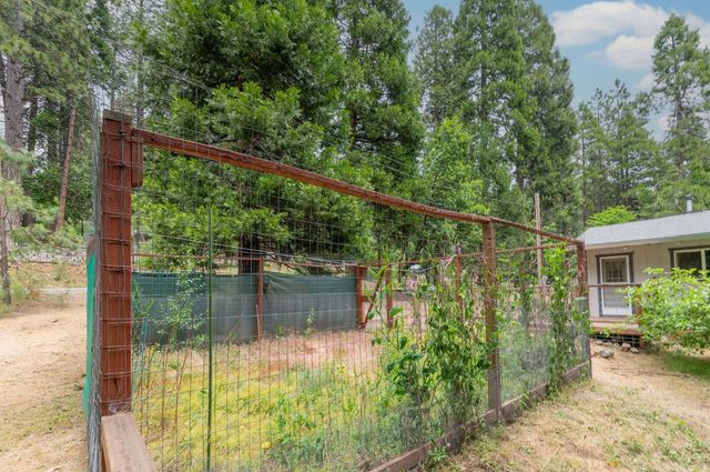 26742 High Trees Dr, Pioneer, CA 95666