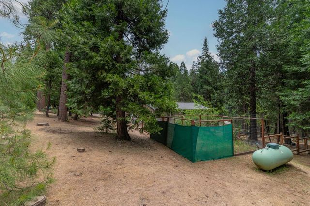 26742 High Trees Dr, Pioneer, CA 95666