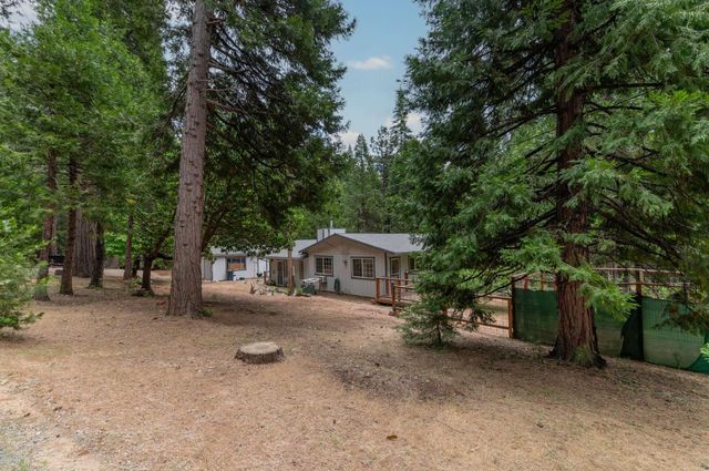 26742 High Trees Dr, Pioneer, CA 95666