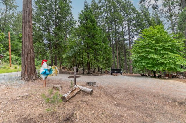 26742 High Trees Dr, Pioneer, CA 95666