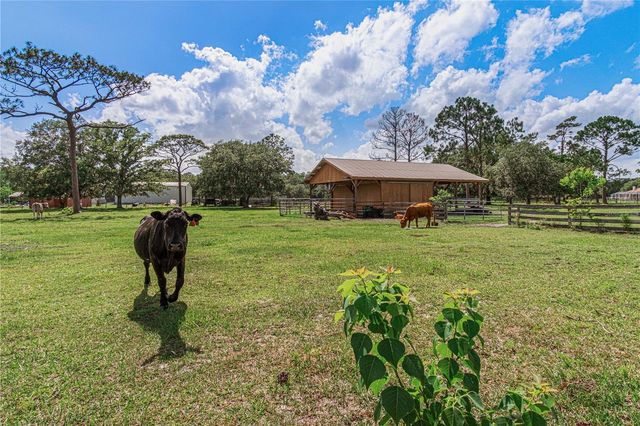 1140 SADDLE RUN, New Smyrna Beach, FL 32168