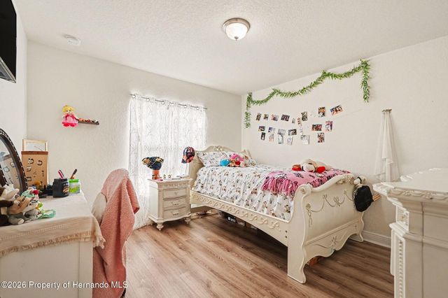 4299 Dristol Avenue, Spring Hill, FL 34609